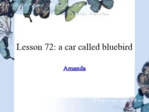 新概念英语第二册精品课件PPT NCE2_Lesson72(共19页)