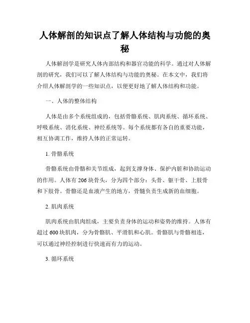 人体解剖的知识点了解人体结构与功能的奥秘