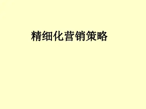 精细化营销策略(推荐PPT168)