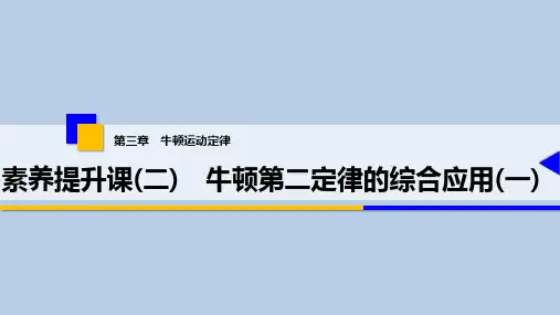 13 第三章 素养提升课(二) 牛顿第二定律的综合应用(一)