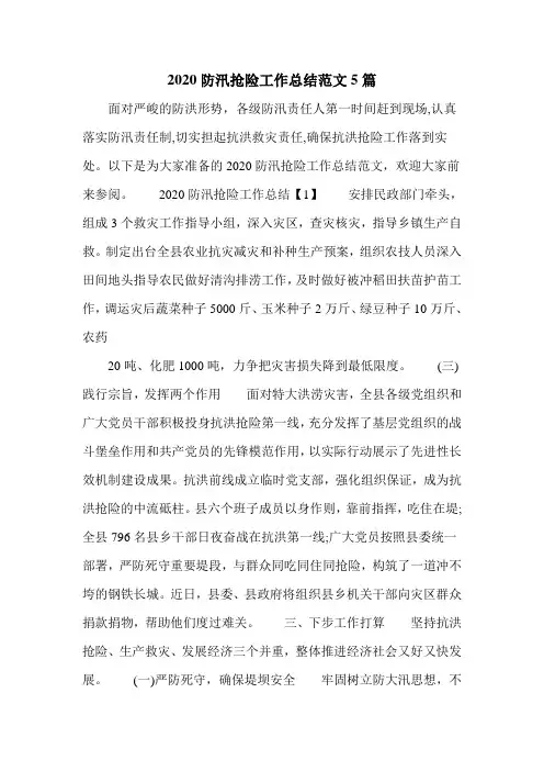 2020防汛抢险工作总结范文5篇