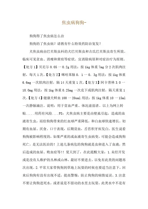 焦虫病狗狗--狗狗得了焦虫病怎么治