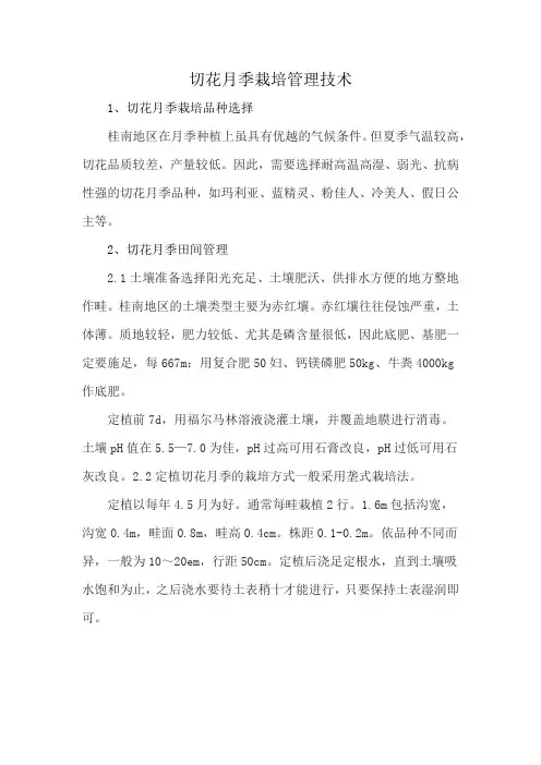 切花月季栽培管理技术