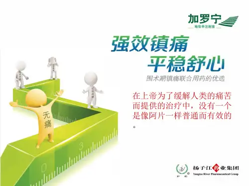 地佐辛注射液使用指南