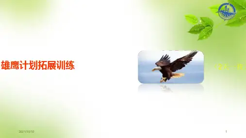 雄鹰计划拓展训练