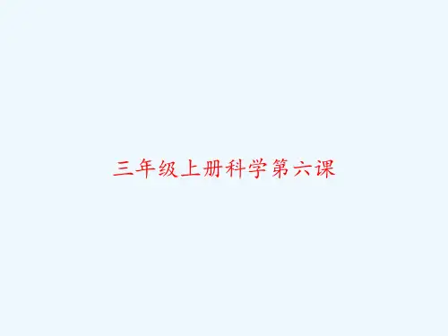 三年级上册科学第六课