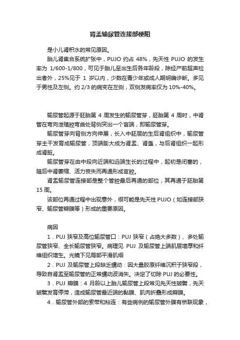 肾盂输尿管连接部梗阻