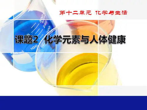 《化学元素与人体健康》化学与生活PPT课件  图文