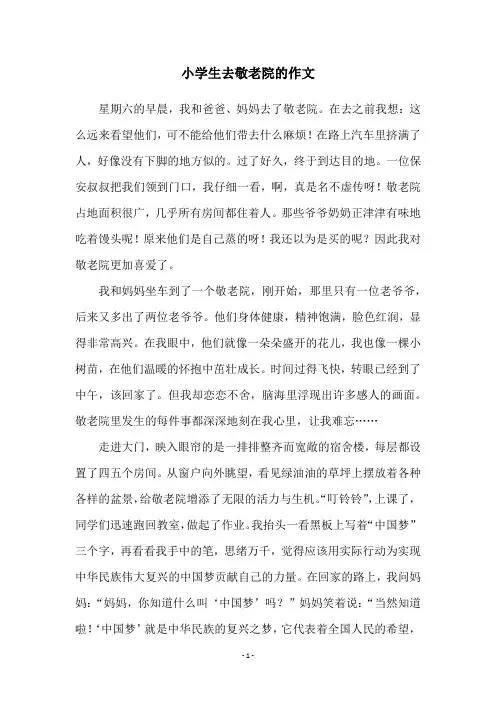 小学生去敬老院的作文