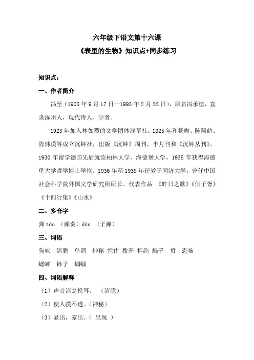 六年级下语文第十六课《表里的生物》知识点+同步练习 含答案 人教统编版
