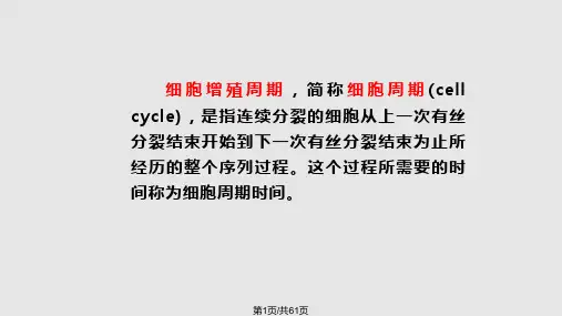 细胞周期调控PPT课件