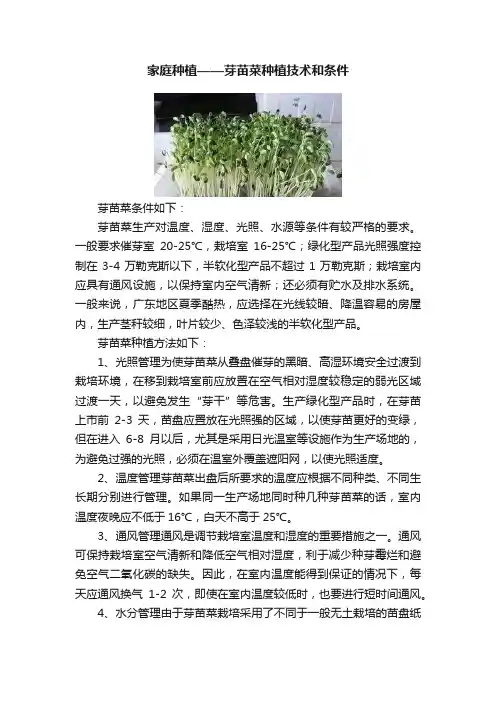 家庭种植——芽苗菜种植技术和条件