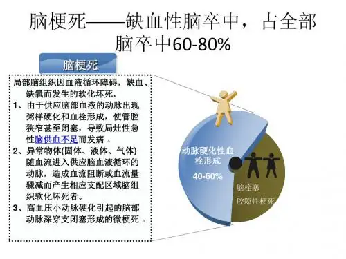 脑梗死诊疗规范及相关神经系统定位