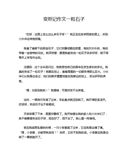 变形记作文一粒石子