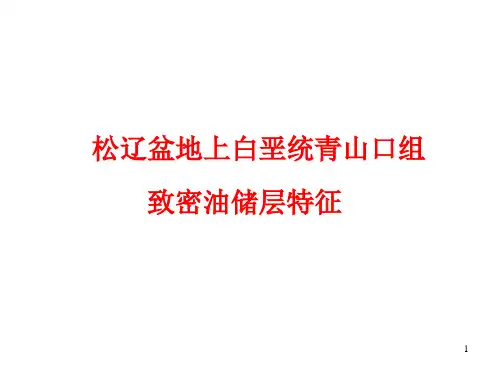 松辽盆地青山口组页岩油储层特征