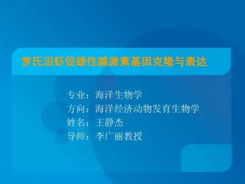 王静杰 开题报告ppt