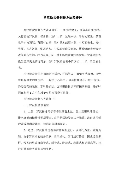 罗汉松盆景制作方法及养护