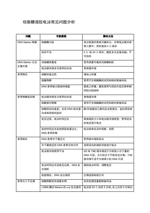 琼脂糖凝胶电泳常见问题分析