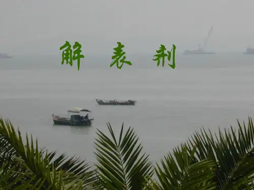 解表剂1