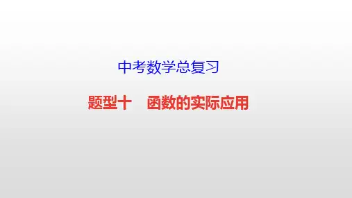 中考数学总复习【题型十 函数的实际应用】