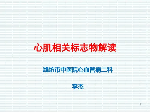 心肌酶PPT课件