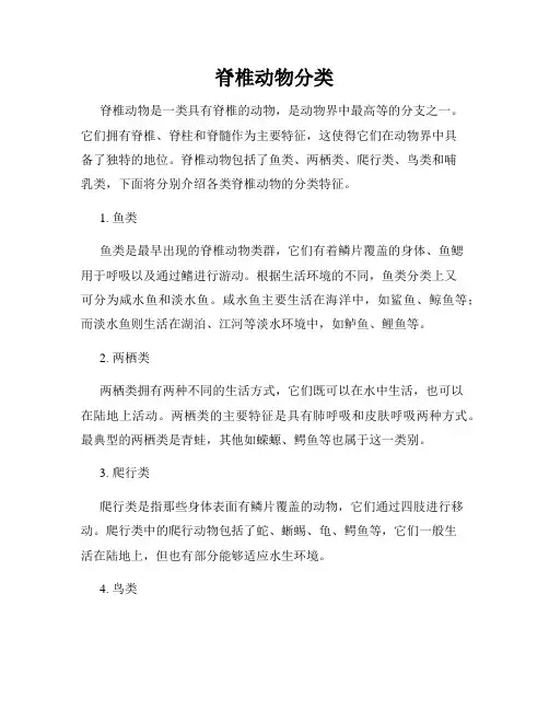 脊椎动物分类