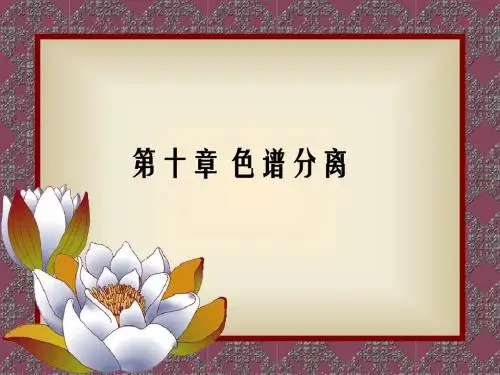 第10章 色谱分离
