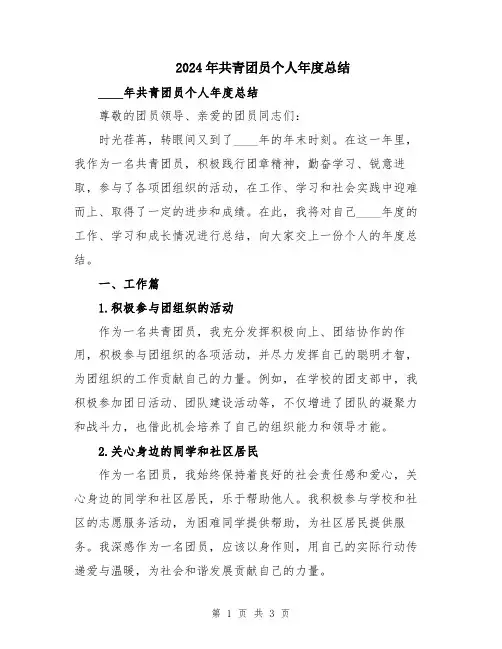 2024年共青团员个人年度总结