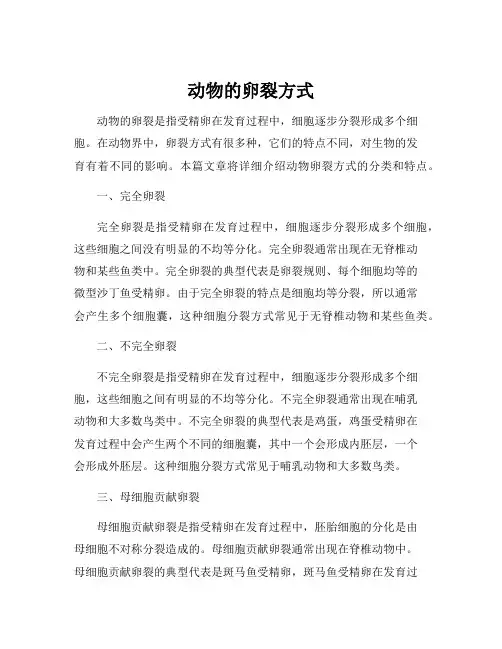 动物的卵裂方式