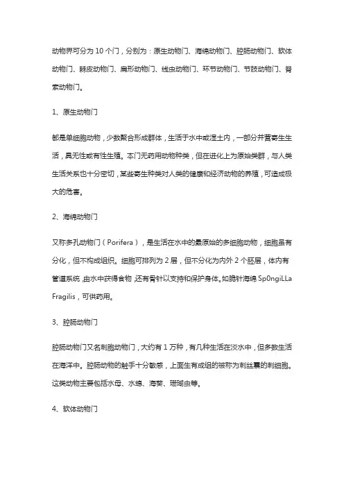动物界分类表