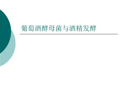 葡萄酒酵母菌与酒精发酵PPT课件