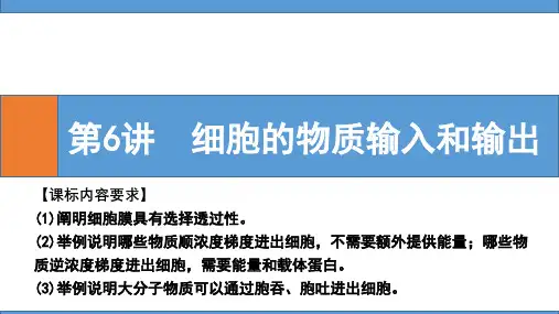 高三一轮复习生物第6讲细胞的物质输入和输出课件