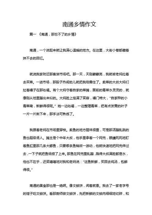 南通乡情作文