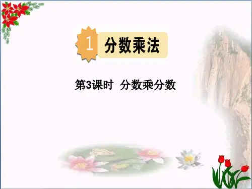 数学分数乘分数人教版(共19张PPT)优秀课件