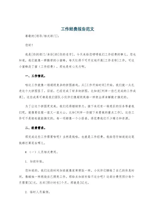 工作经费报告范文