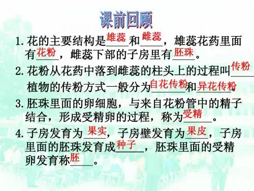 秀三中绿色植物与生物圈的水循环课件 新人教版