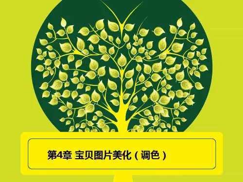 网店美工课程第4章宝贝图片美化(调色)