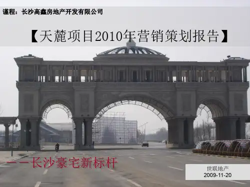 某房地产开发有限公司营销策划报告(PPT 133页)