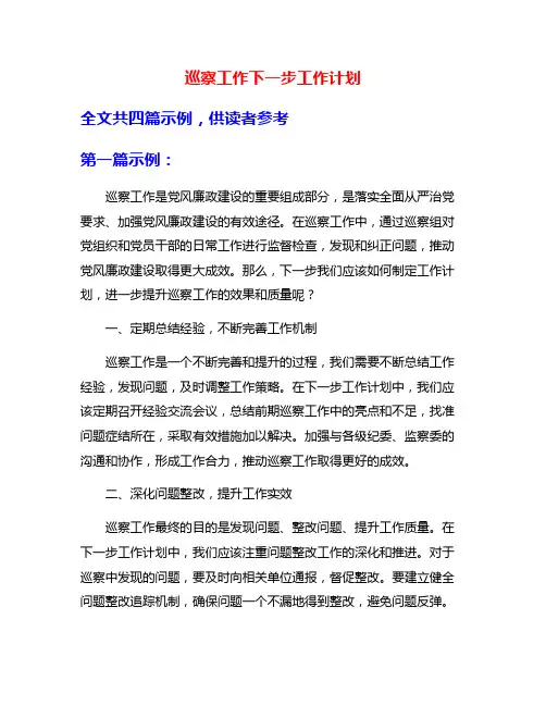 巡察工作下一步工作计划