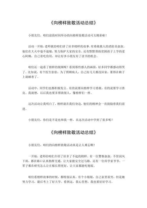 向榜样致敬活动总结