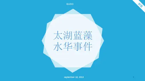 太湖蓝藻水华事件讲义,环保讲义,水污染PPT精品文档