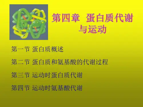 运动生物化学第四章PPT 蛋白质代谢与运动