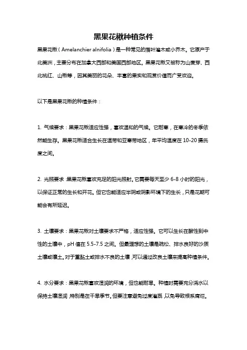 黑果花楸种植条件
