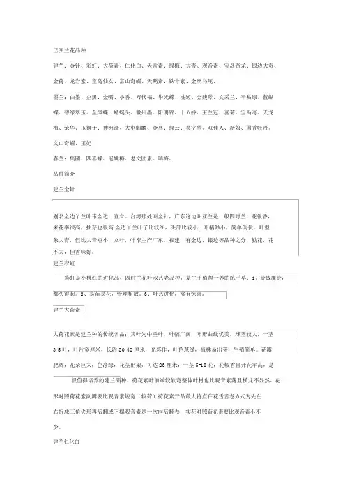 兰花普通品种介绍