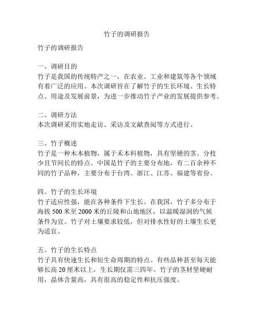 竹子的调研报告