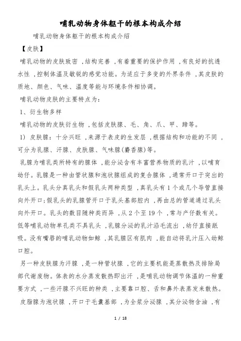 哺乳动物身体躯干的基本构成介绍