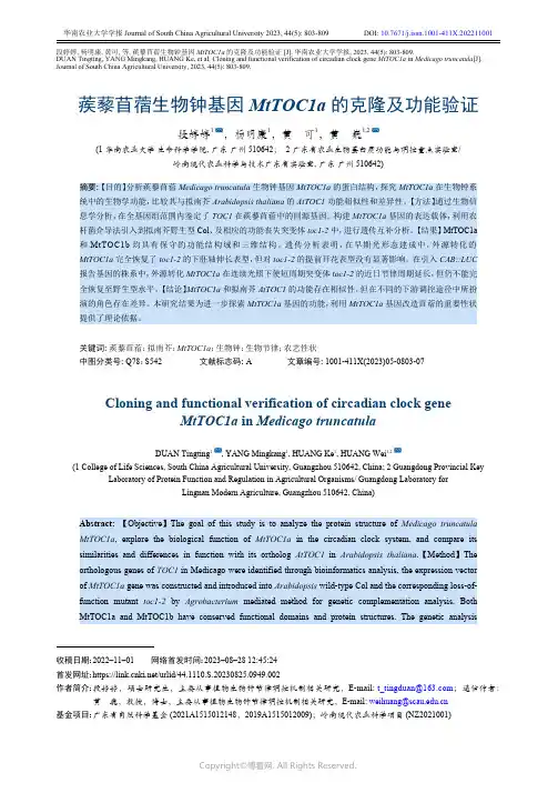 蒺藜苜蓿生物钟基因MtTOC1a_的克隆及功能验证