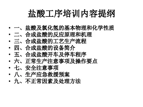 氯碱新员工培训资料之盐酸工序