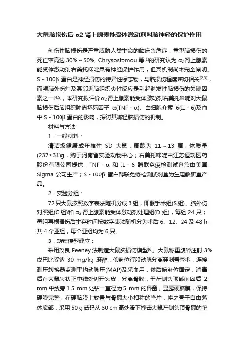 大鼠脑损伤后α2肾上腺素能受体激动剂对脑神经的保护作用