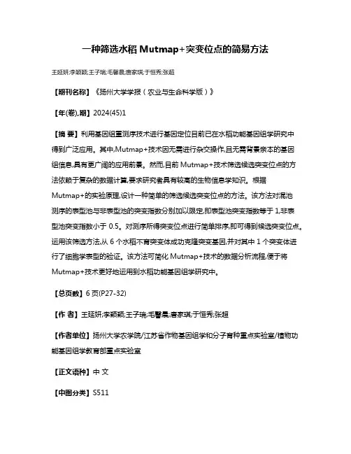 一种筛选水稻Mutmap+突变位点的简易方法